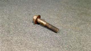 SCREW
