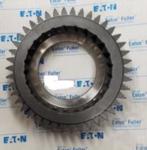 GEAR MAIN