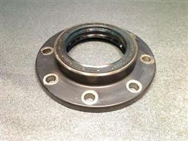 INPUT CAP