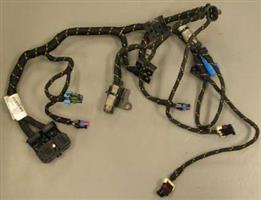 HARNESS