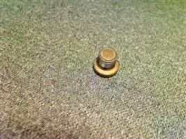 PLUG SCREW