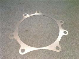 SHIM PN CAGE .010