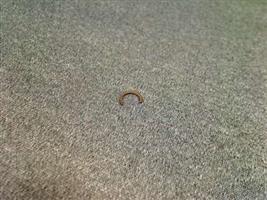 RING-SNAP