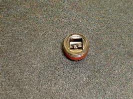 PLUG 3/4"