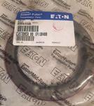 OIL SEAL