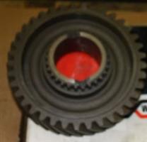 GEAR M/S