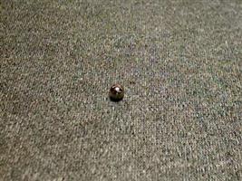 STEEL BALL 100 SERIES