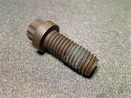 CAPSCREW