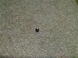 BALL PLGR 6TH 7TH CROSS