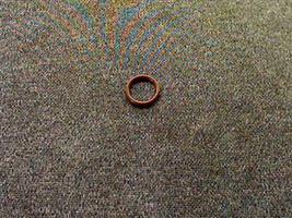 O RING SHAFT