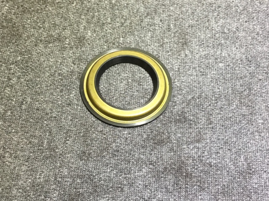 DUST SEAL