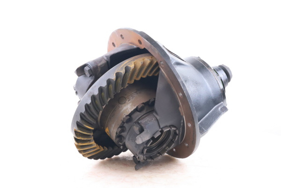 19055S Differential