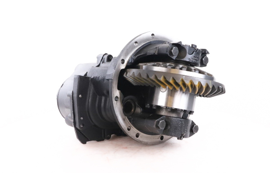 DS404P Differential