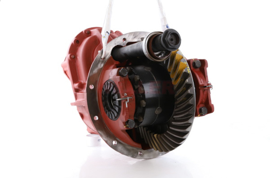 DS4616P Differential