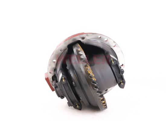 RS19220 Differential